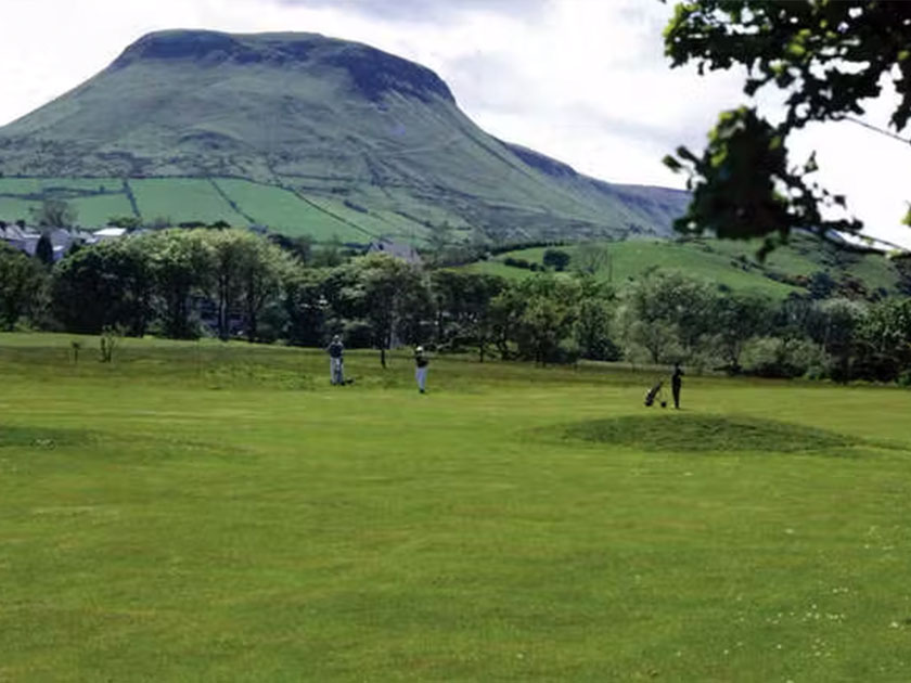 Carncormick Meadow, Cargan