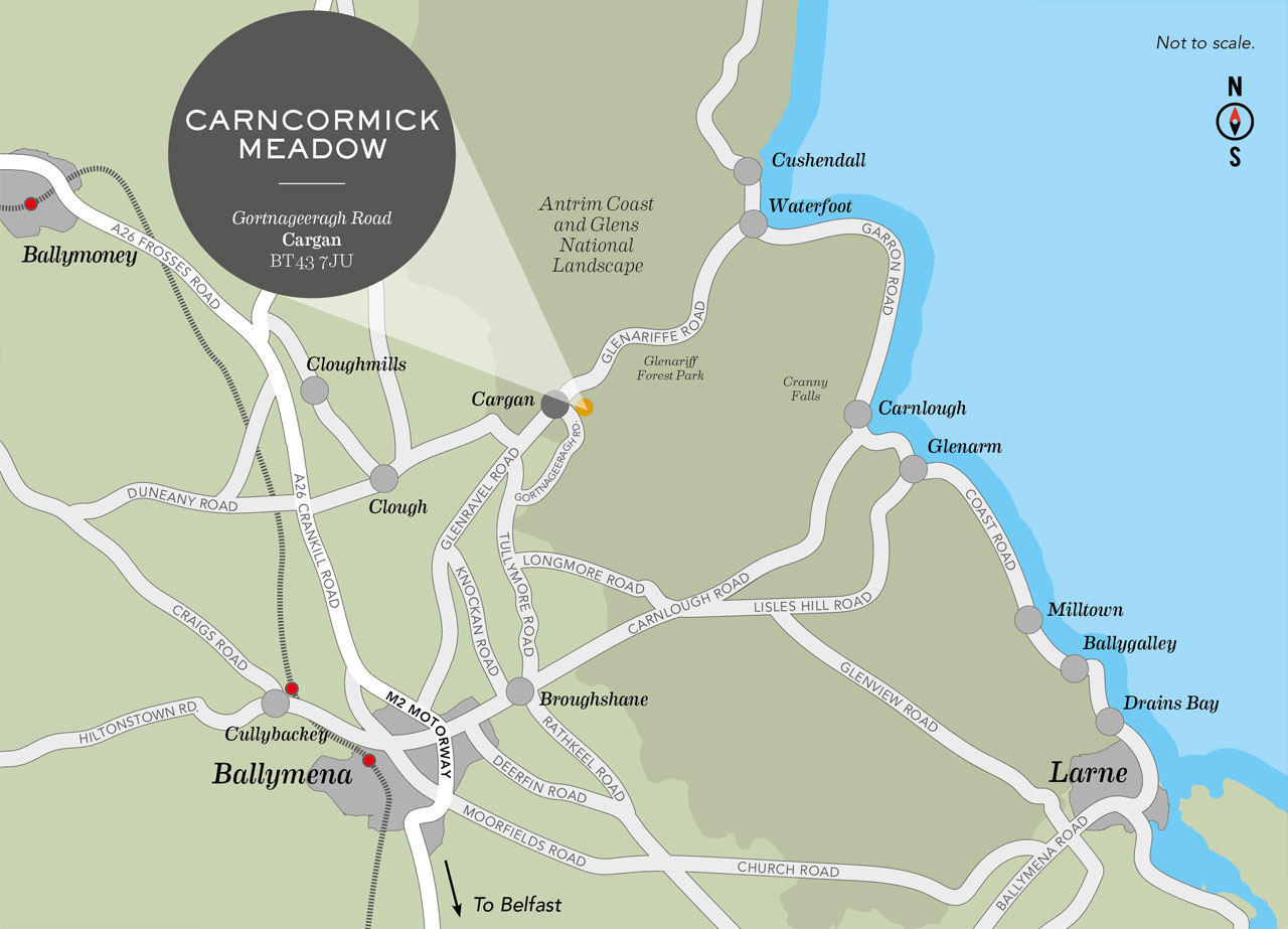 Carncormick Meadow, Cargan