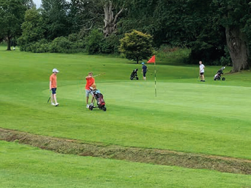 Bellfield Park, Portadown